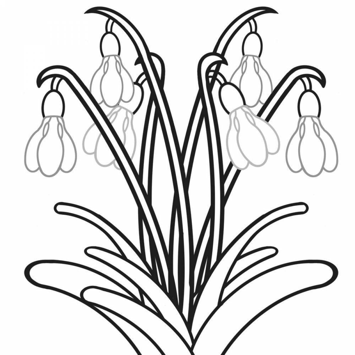 Glorious snowdrops coloring for children
