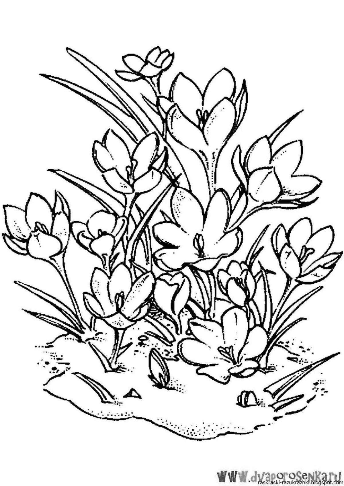 Cute snowdrops coloring pages for kids