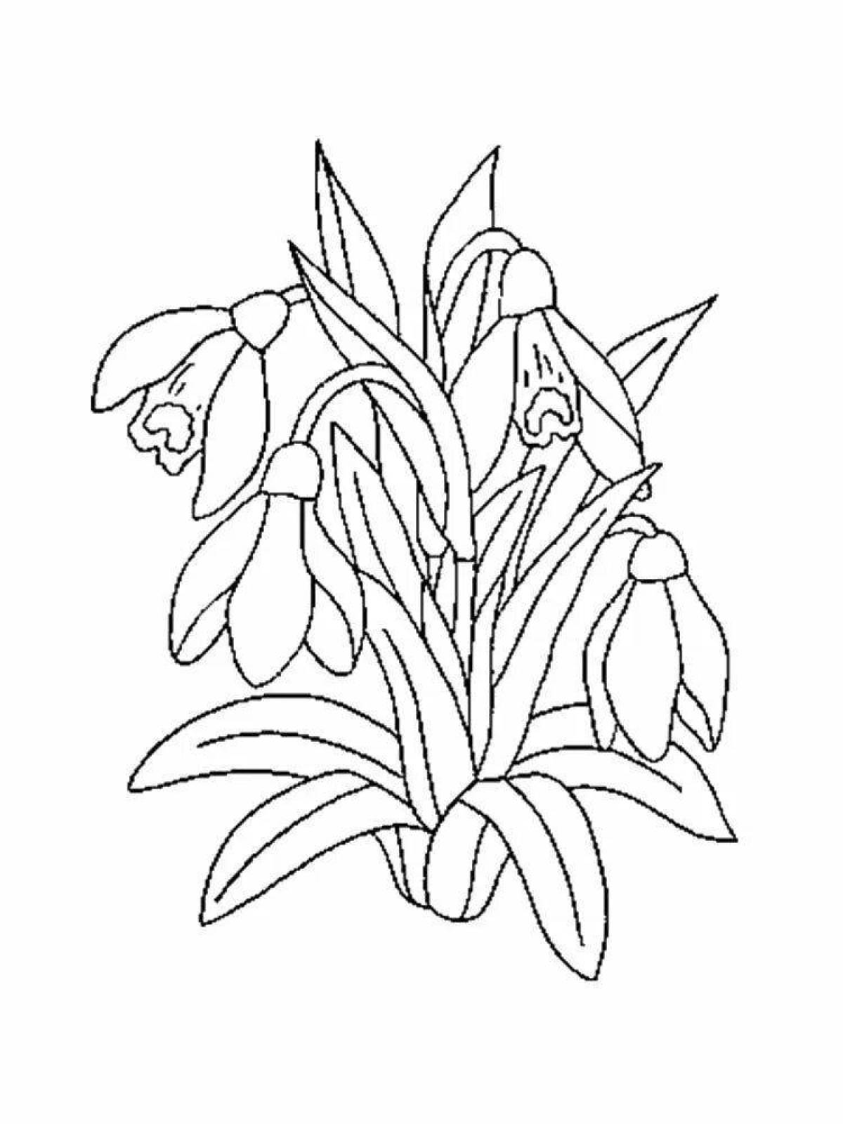 Blessed snowdrops coloring pages for kids