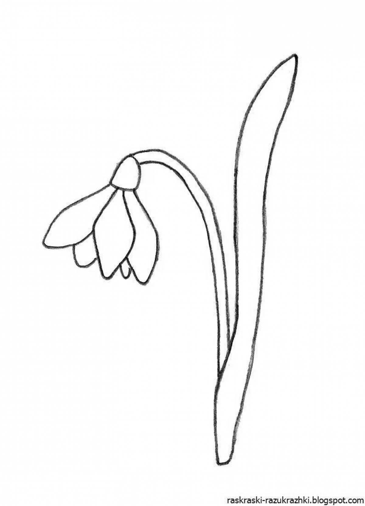 Gorgeous snowdrops coloring pages for kids