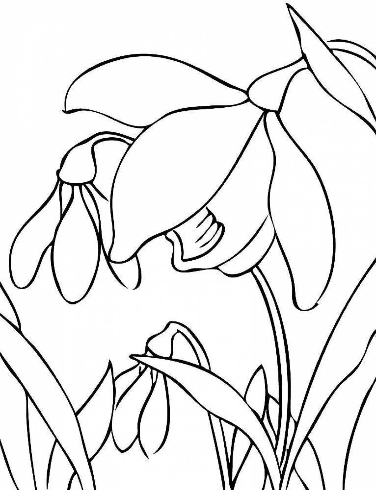 Coloring snowdrops for kids