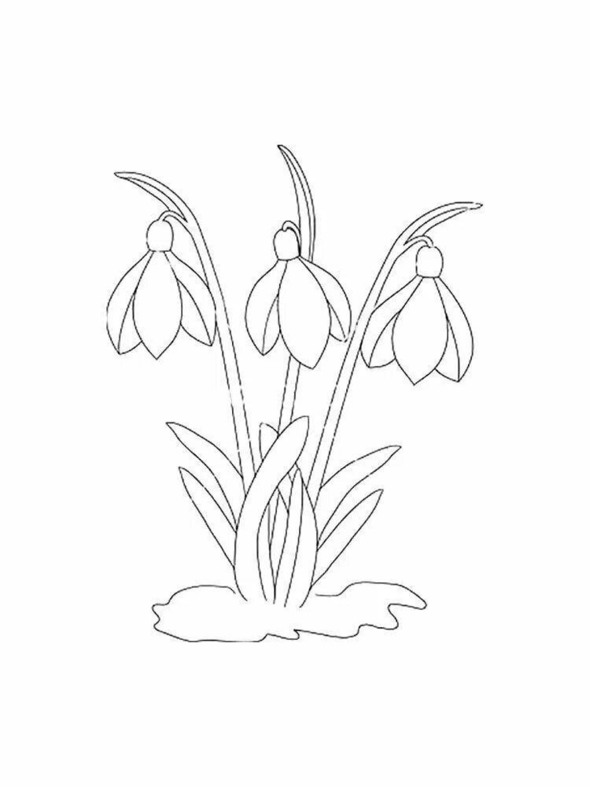 Children's snowdrops coloring pages