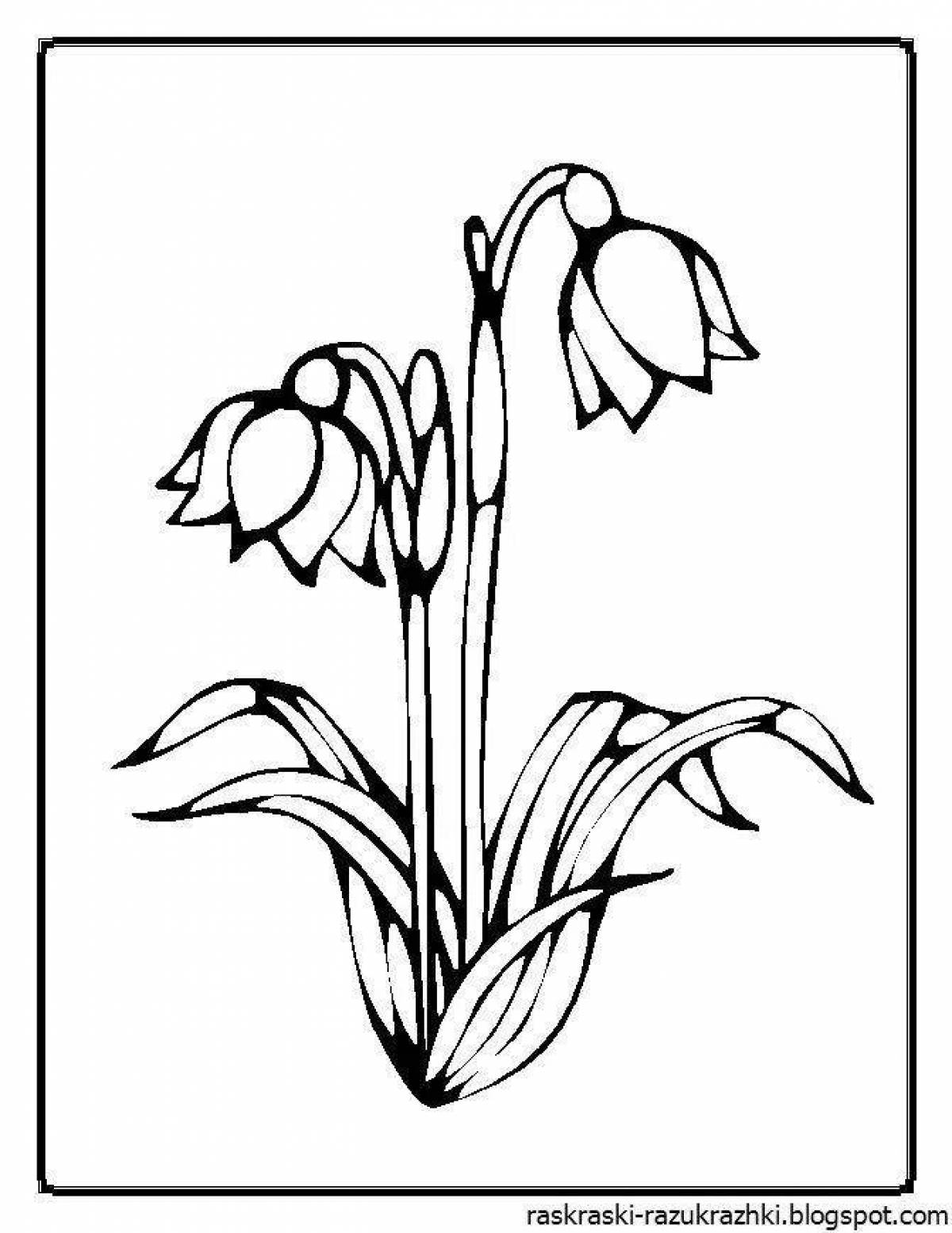 Crazy snowdrop coloring pages for kids