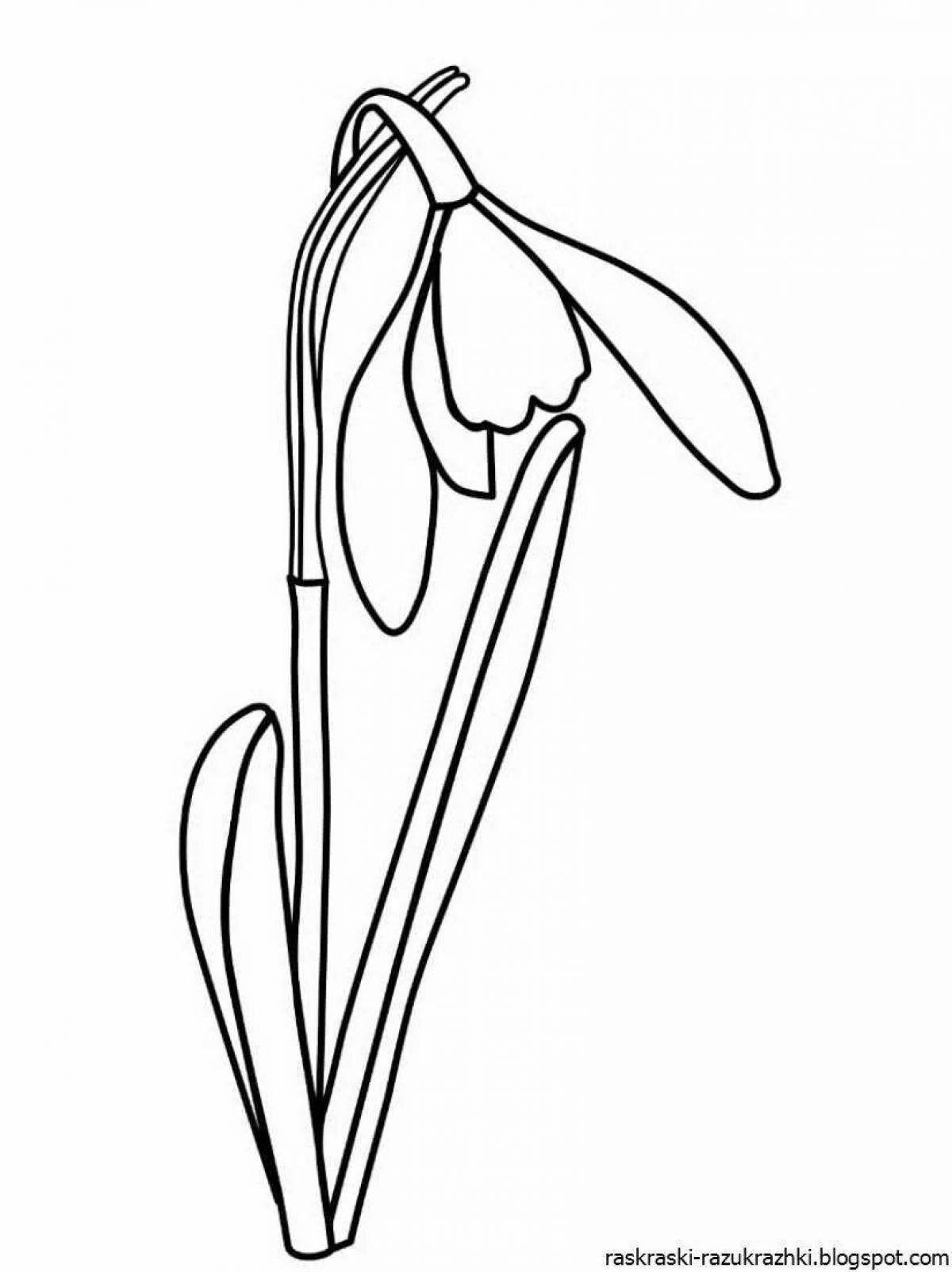 Big snowdrops coloring pages for kids