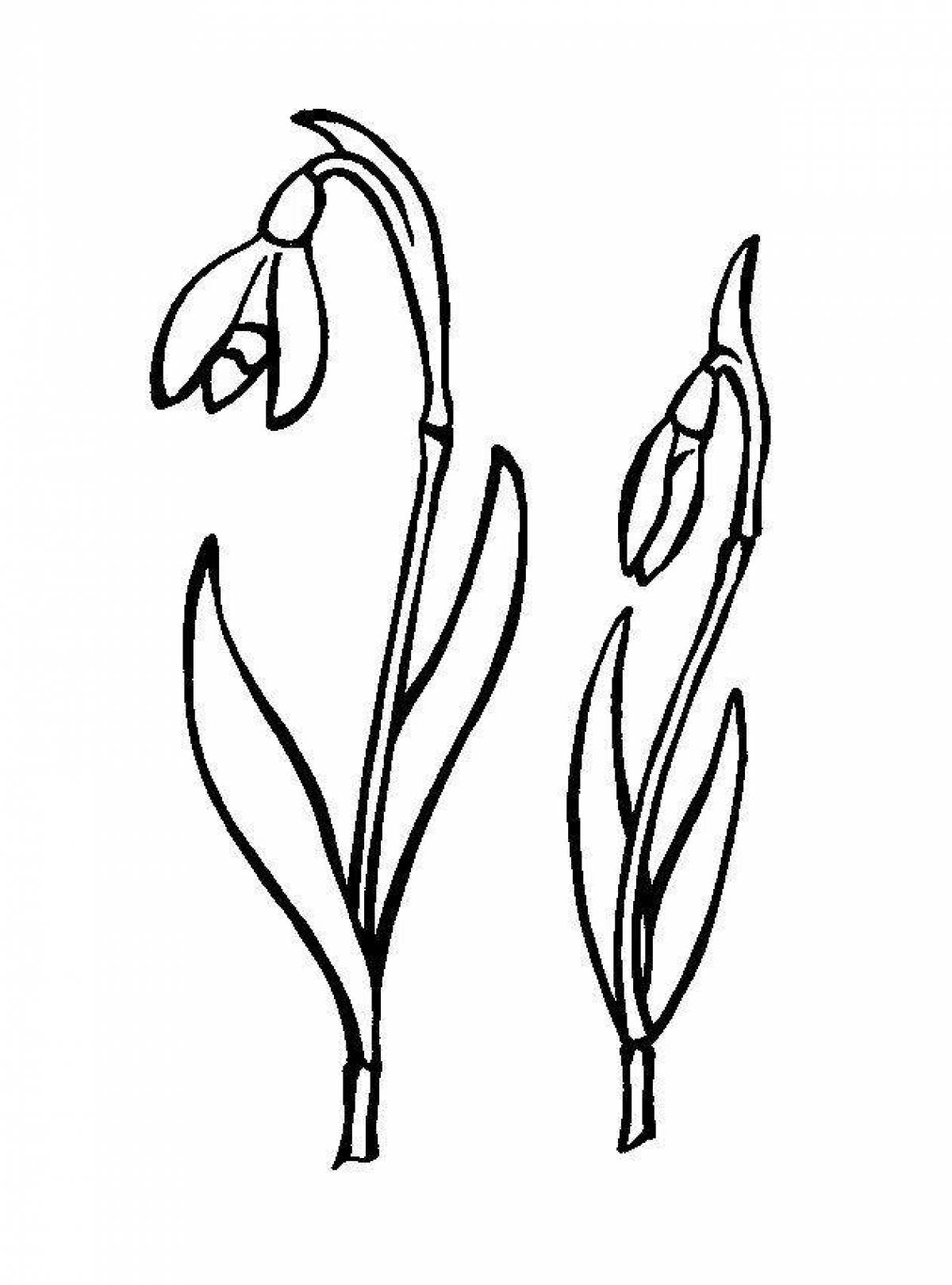 Amazing snowdrops coloring book for kids