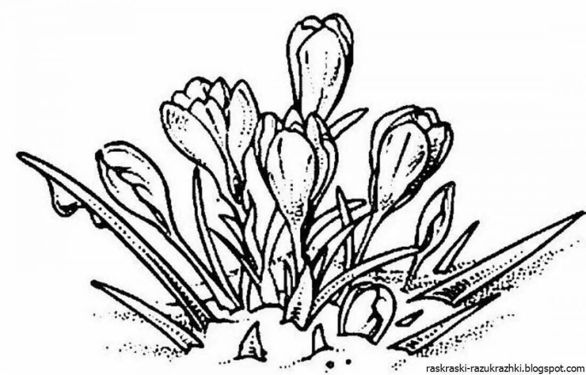 Coloring snowdrops for kids