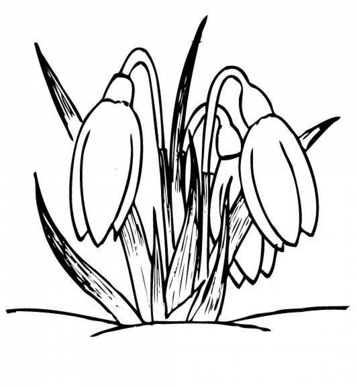 Children's coloring pages for snowdrops