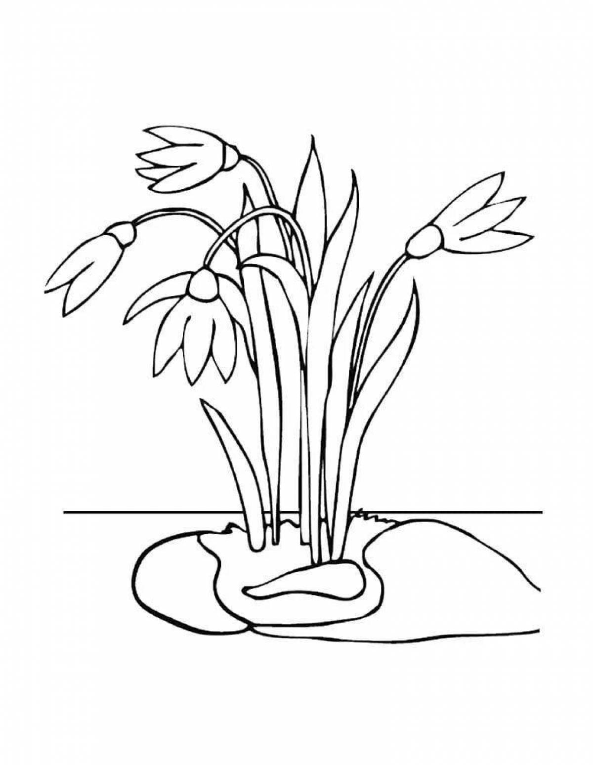 Children's happy snowdrops coloring book