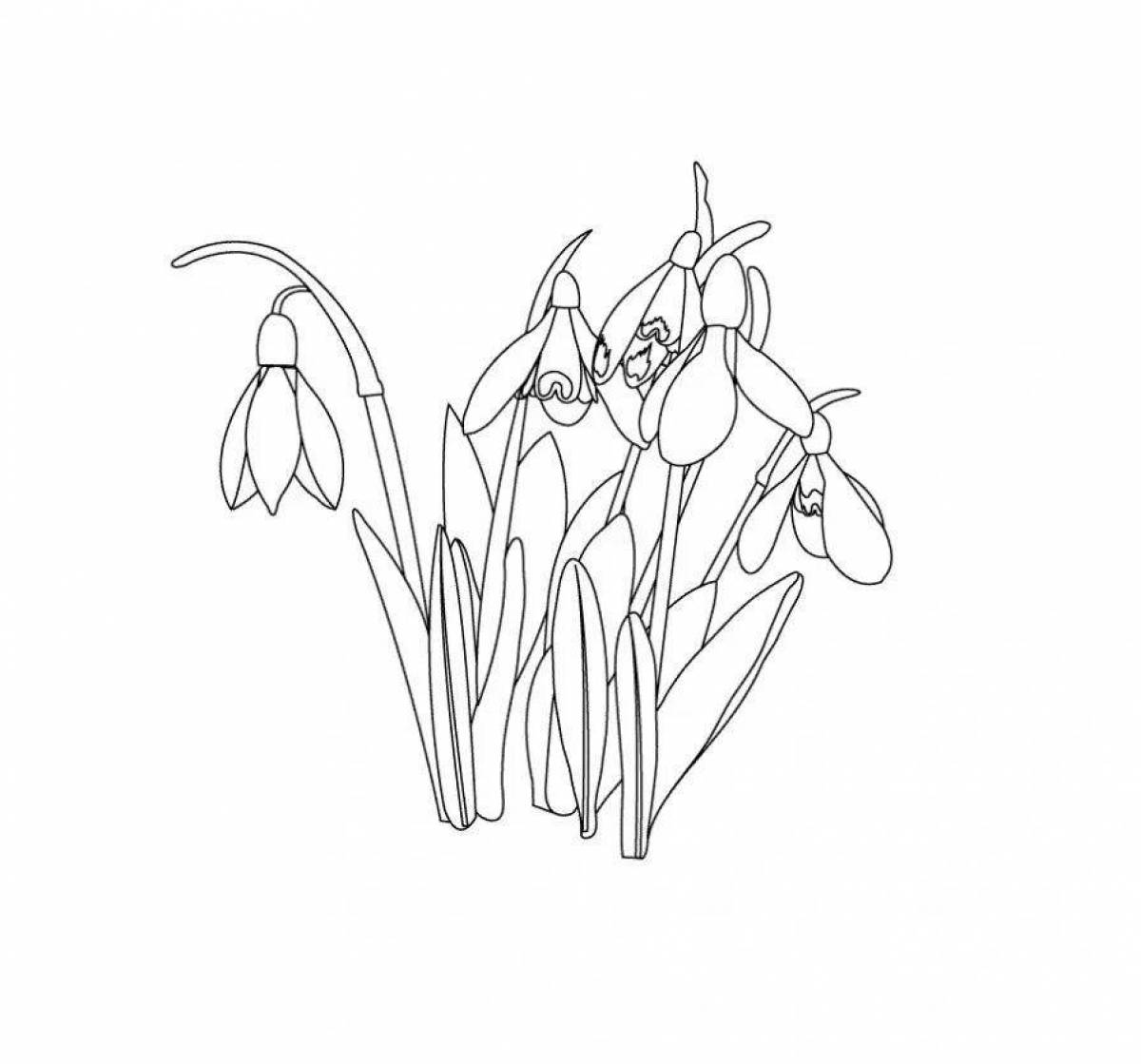 Snowdrops for kids #2
