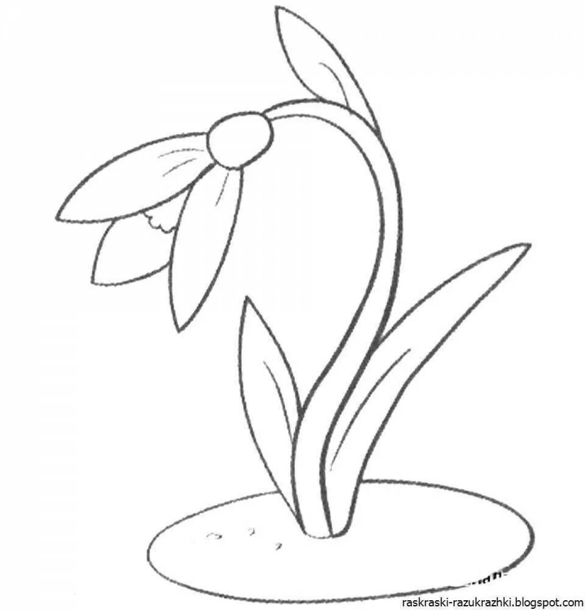 Snowdrops for kids #4