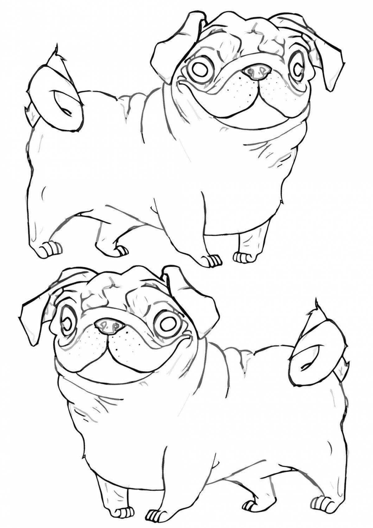 Charming pug coloring book