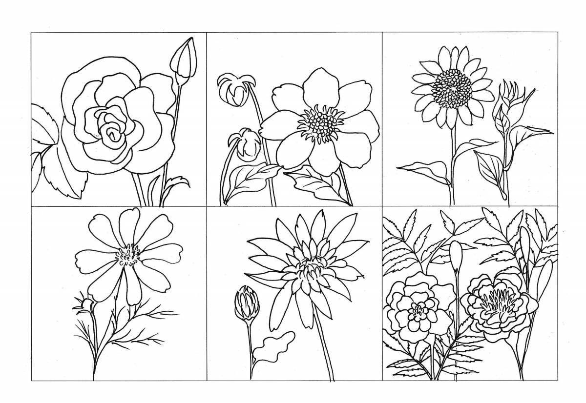 Dazzling coloring pages