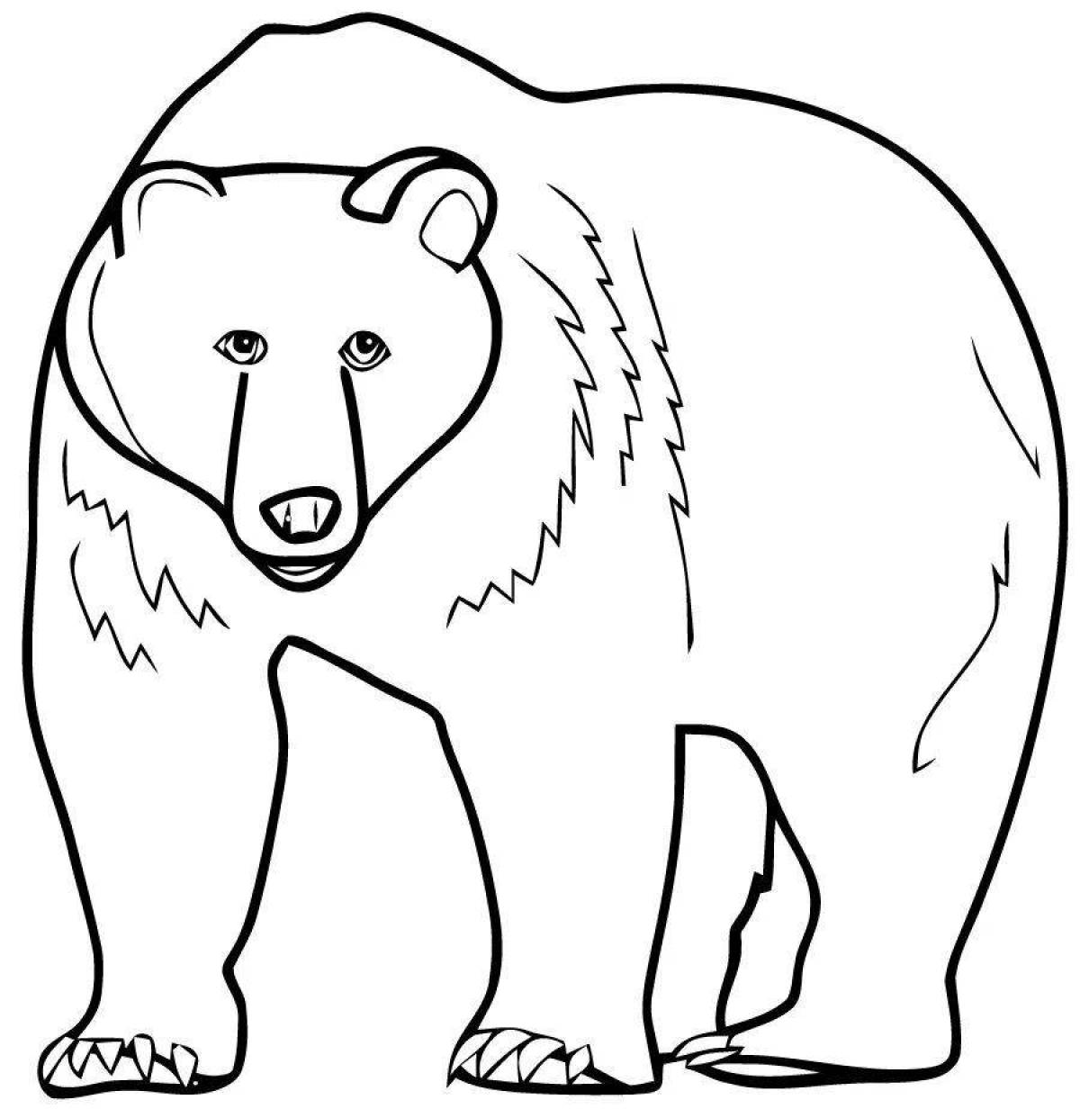 Раскраска дружелюбный медведь