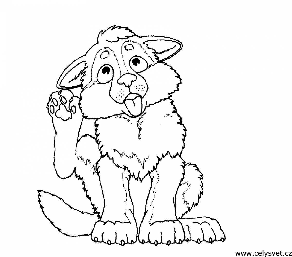 Amazing animal coloring pages for kids