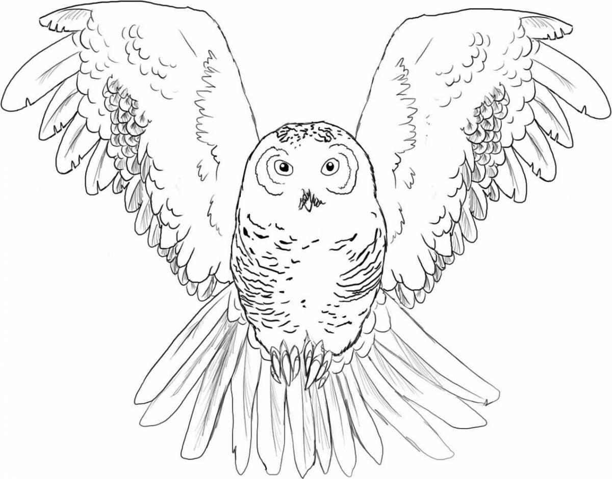 Colorful snowy owl coloring page for kids
