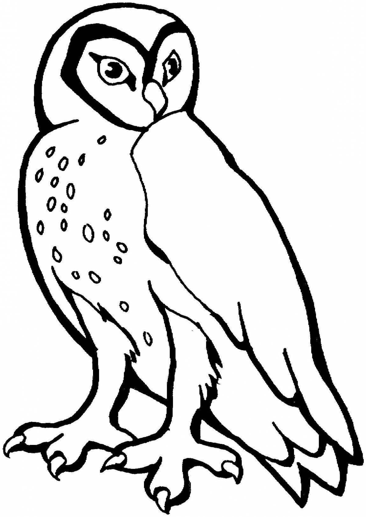Playful snowy owl coloring page for babies