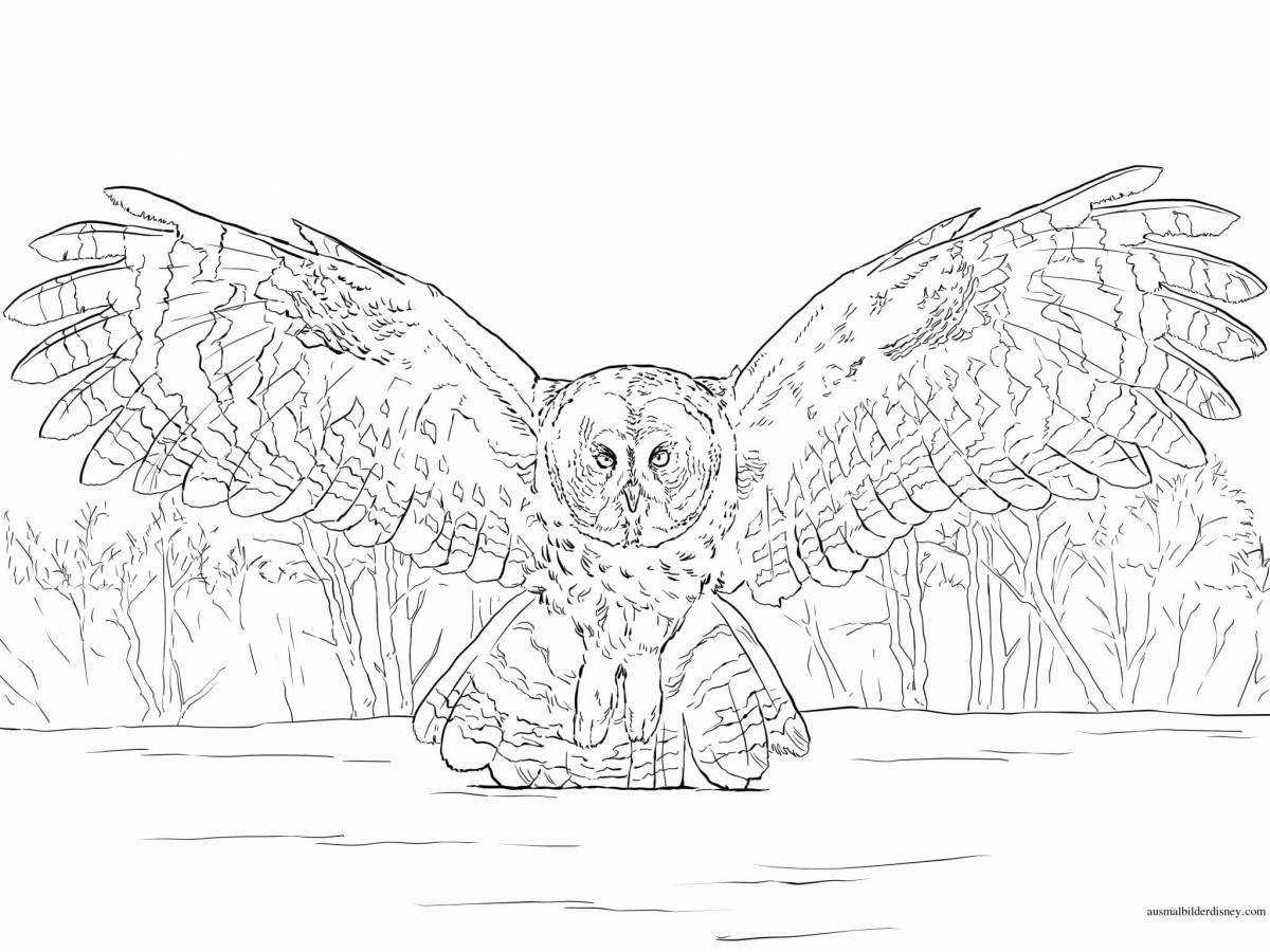 Bright coloring book snowy owl for kids