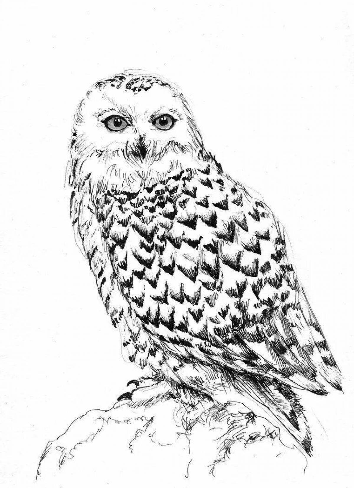 Fantastic snowy owl coloring book for beginners