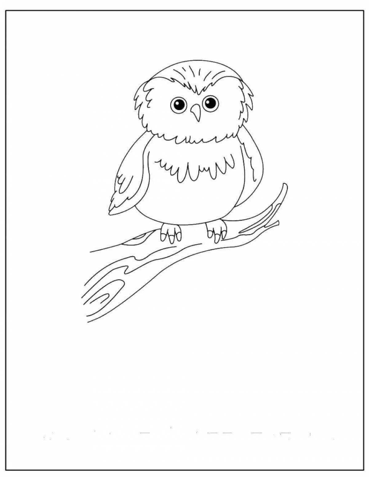Fabulous snowy owl coloring pages for kids