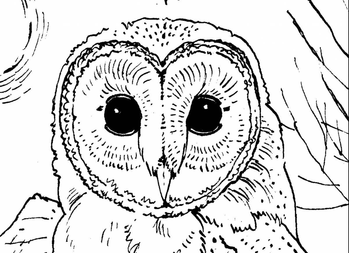 Amazing coloring book snowy owl for the little ones