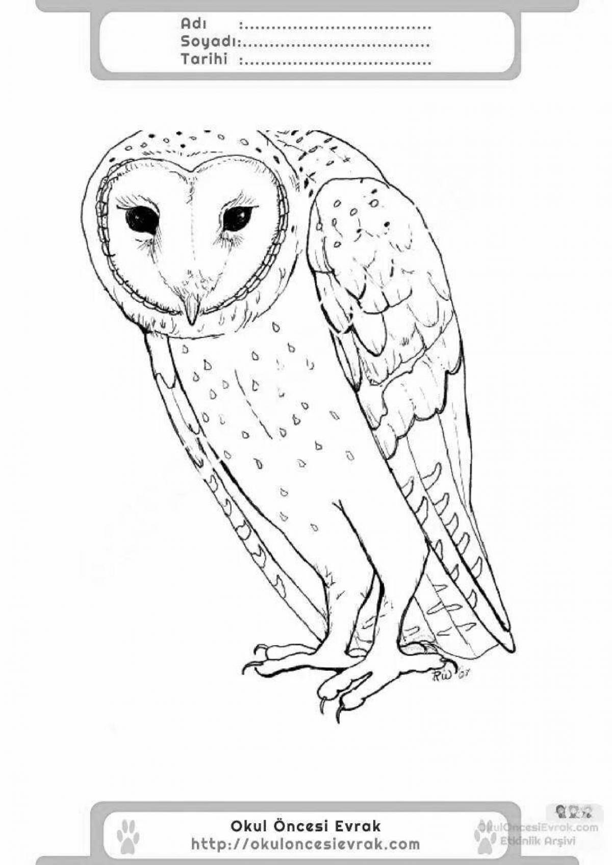 Outstanding snowy owl coloring page for babies