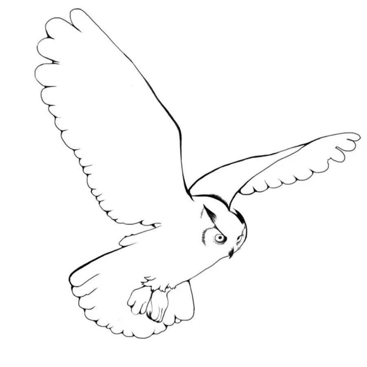 Красивая раскраска полярная сова для школьников