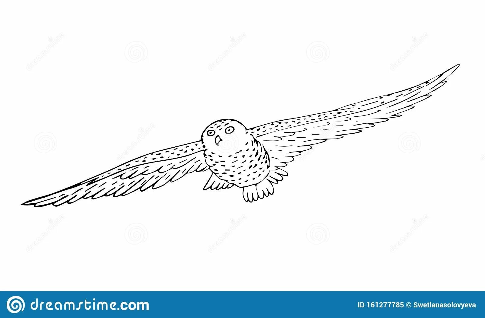 Funny snowy owl coloring book for babies