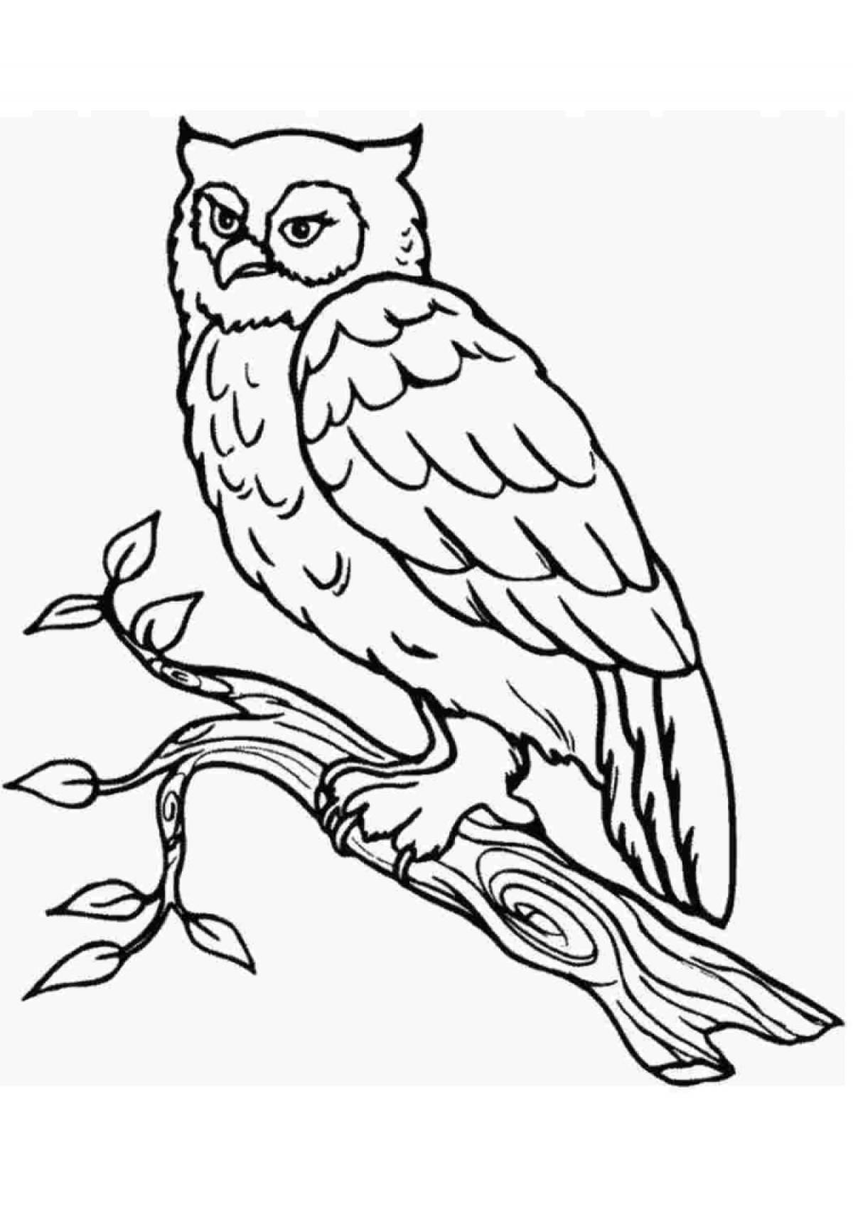 Cute snowy owl coloring for schoolchildren