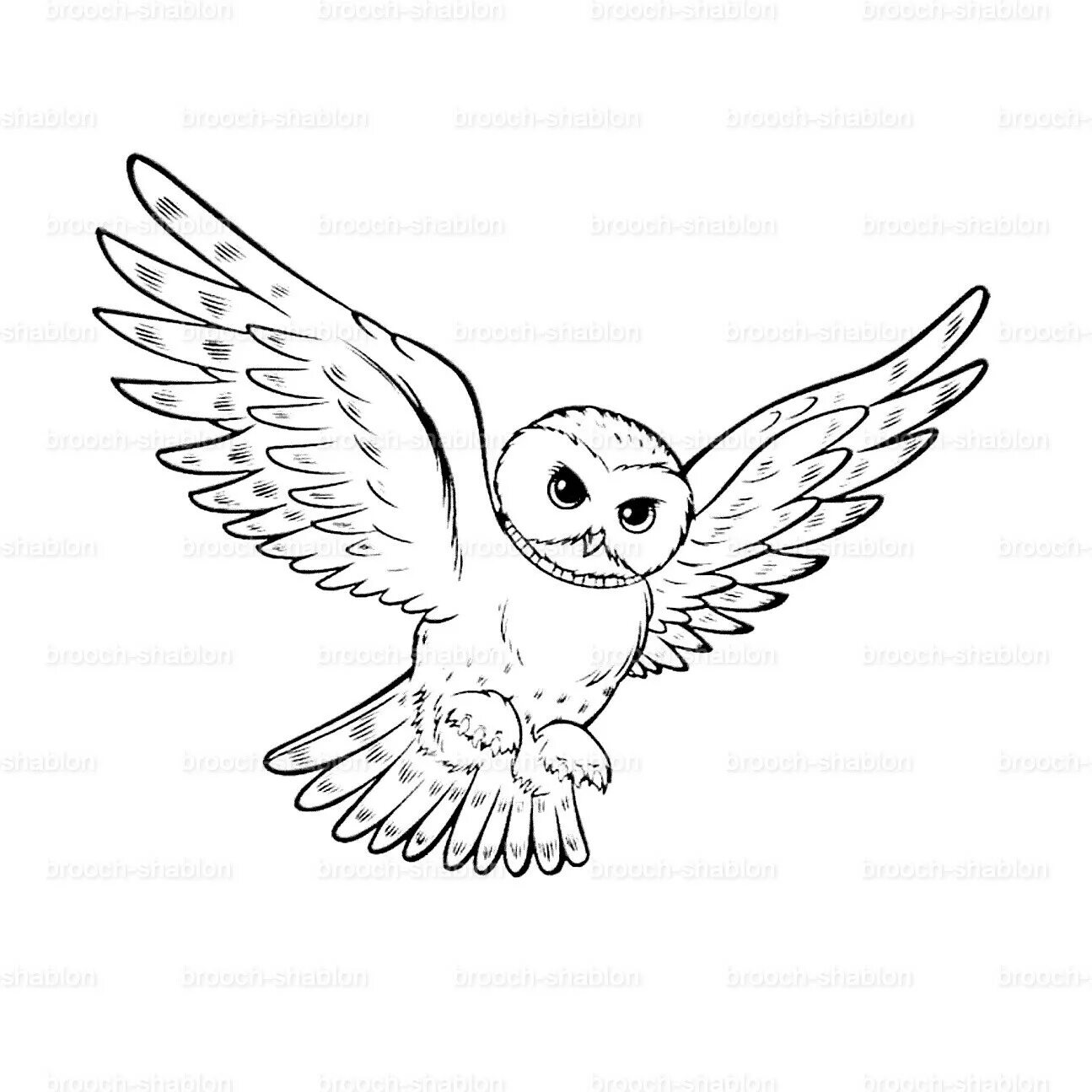 Nice coloring book snowy owl for students