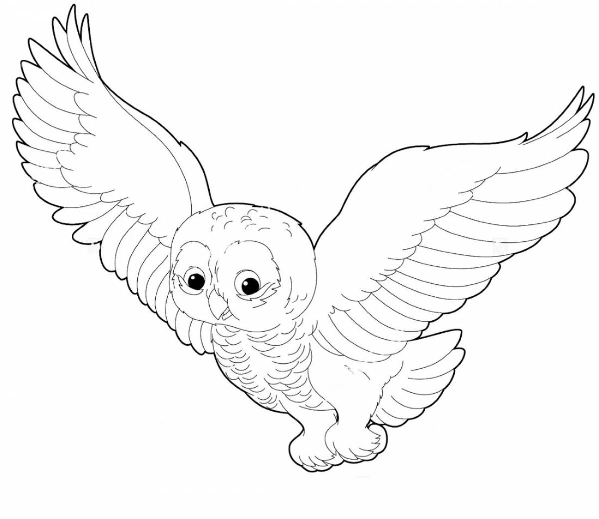 Увлекательная раскраска «полярная сова» для детей