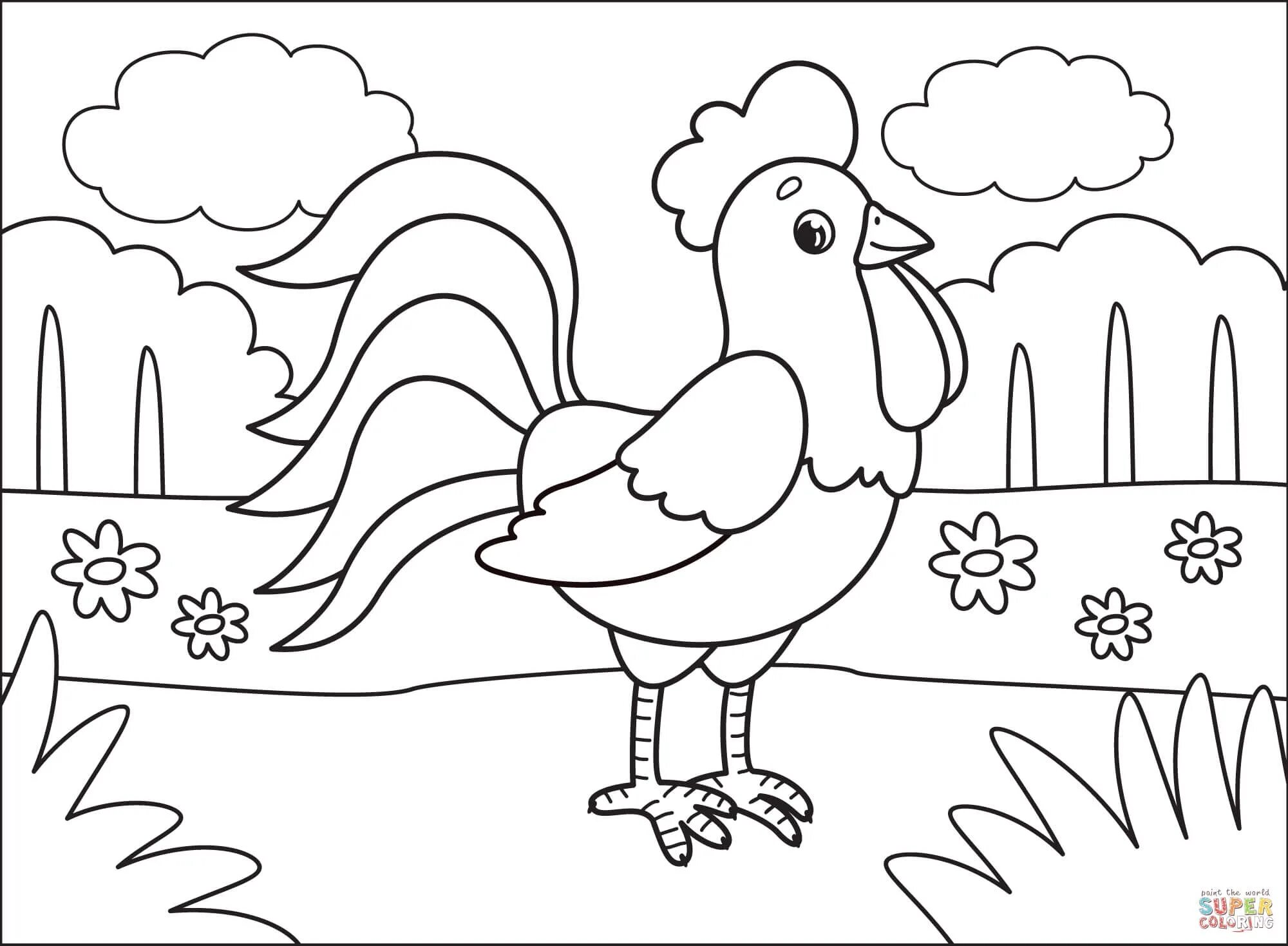 Adventurous rooster coloring for kids