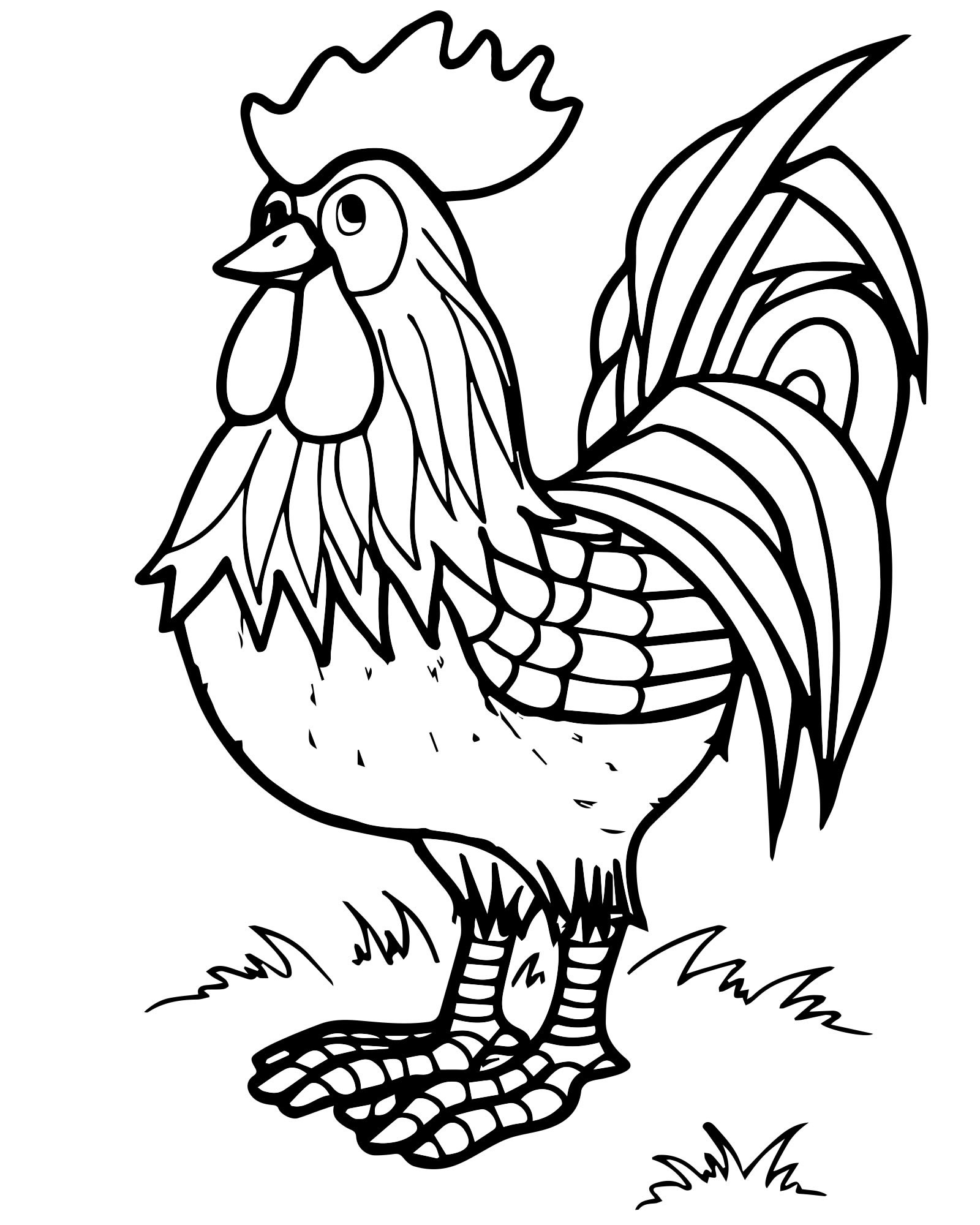 Coloring book energetic rooster for children 4-5 years old