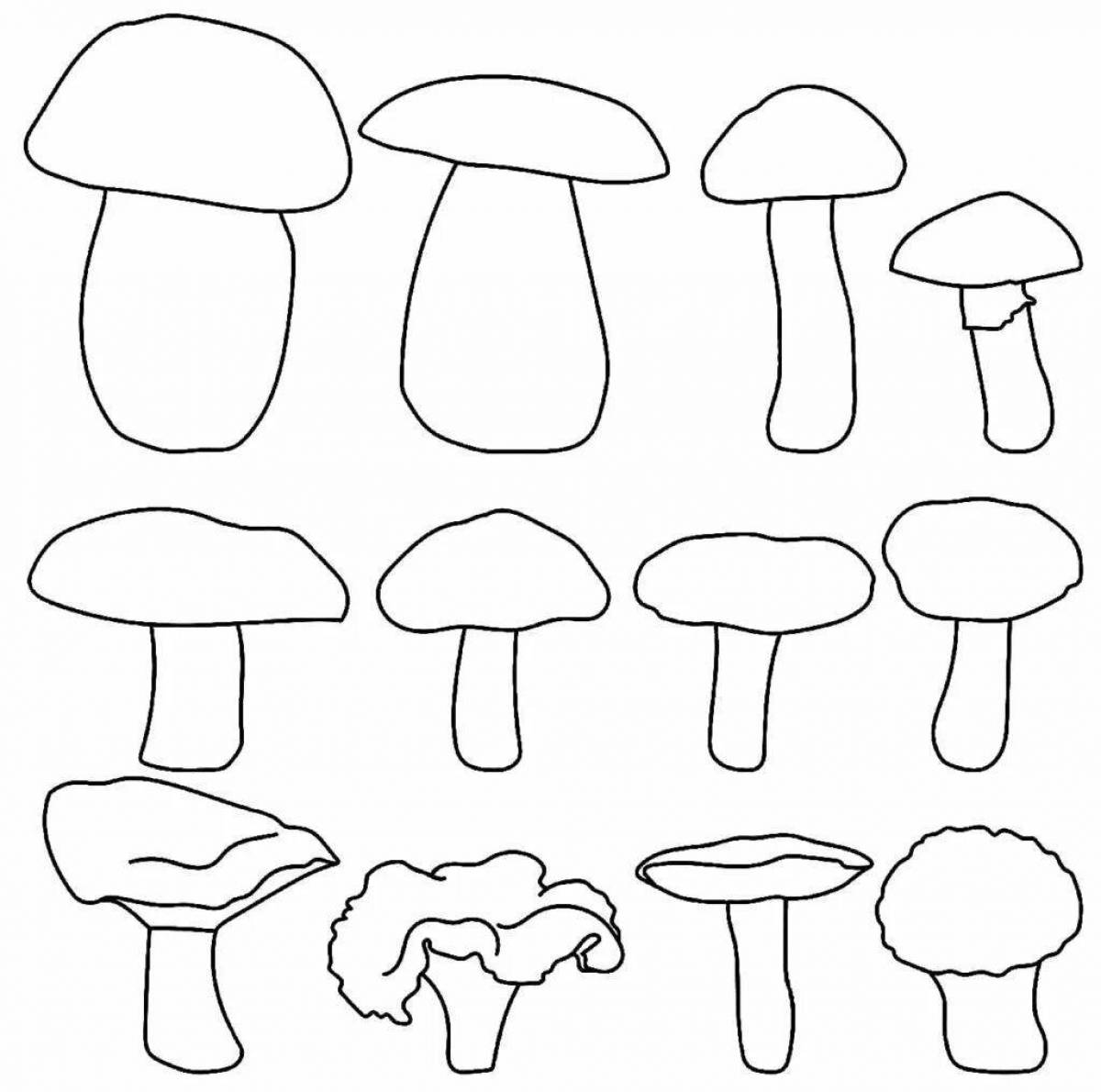 Игривая страница раскраски грибов для детей 6-7 лет