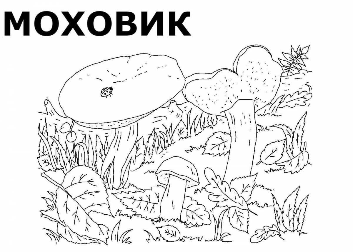 A fun mushroom coloring book for 6-7 year olds