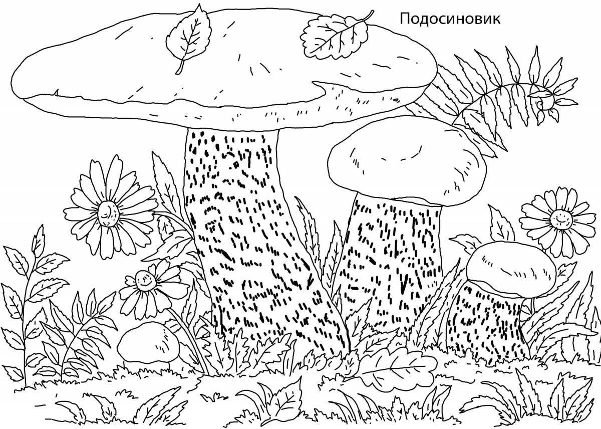 Glowing mushrooms coloring book for 6-7 year olds