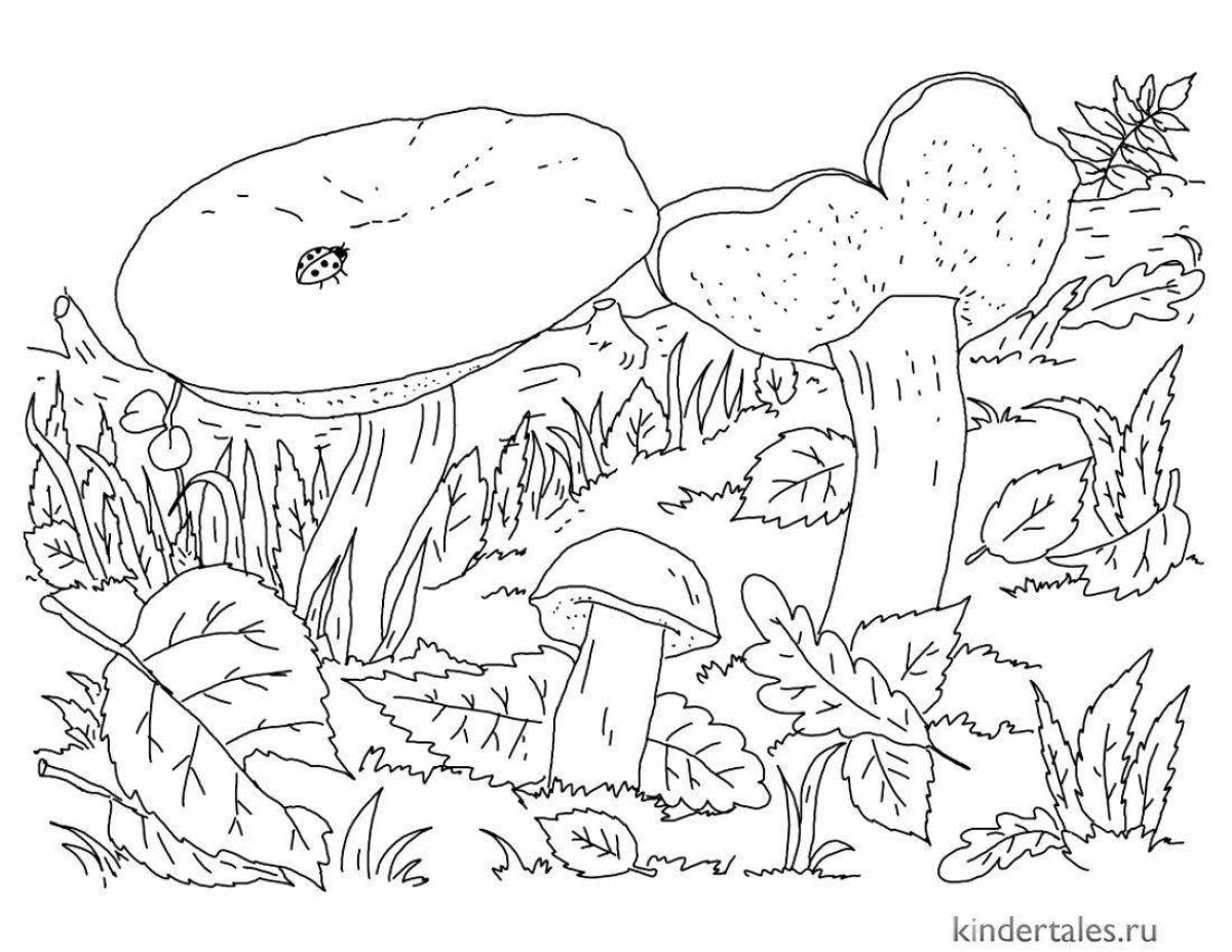 Great mushroom coloring book for 6-7 year olds