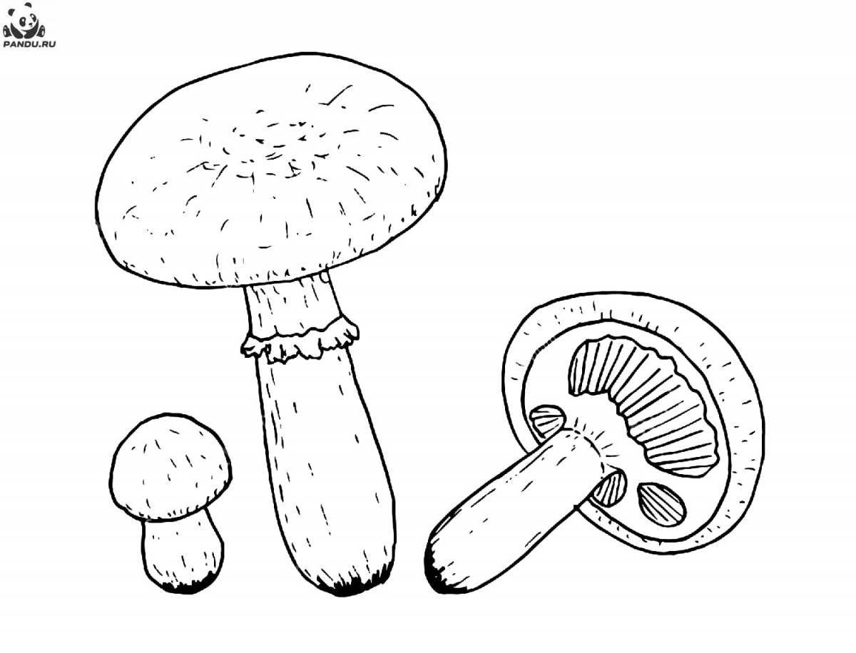 Сказочные грибы-раскраски для детей 6-7 лет