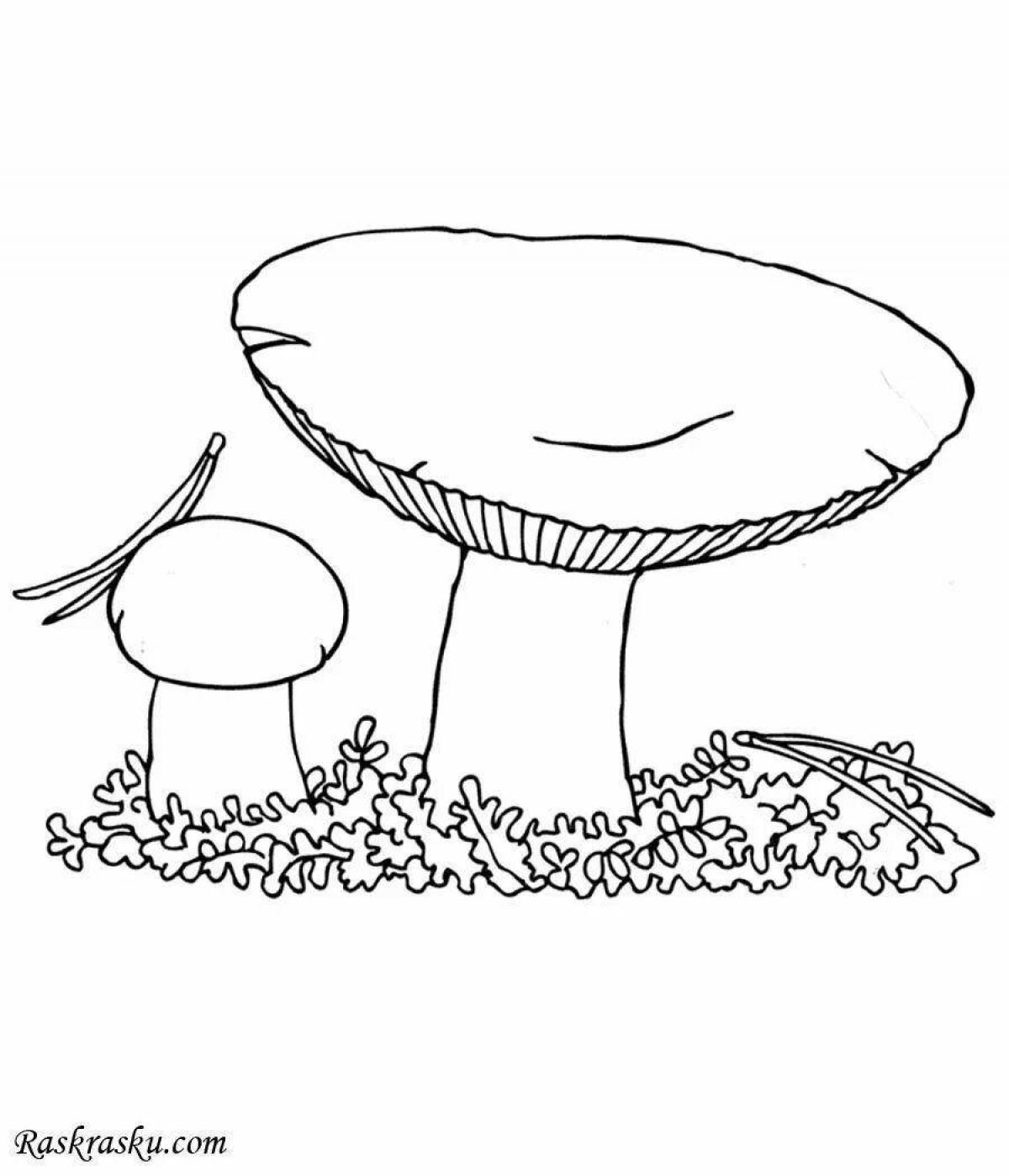 Exquisite mushroom coloring book for 6-7 year olds