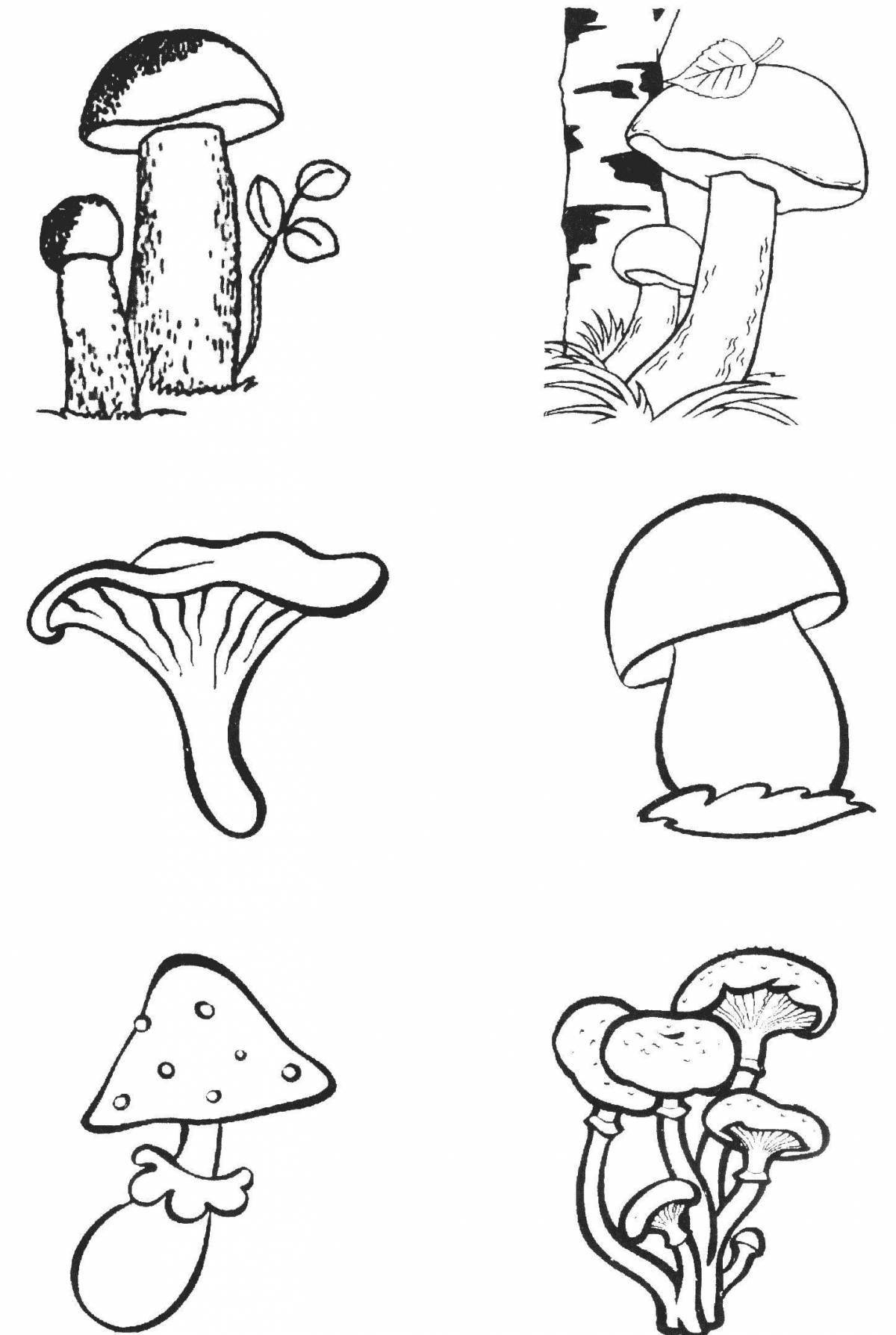 Раскраска с лучистыми грибами для детей 6-7 лет