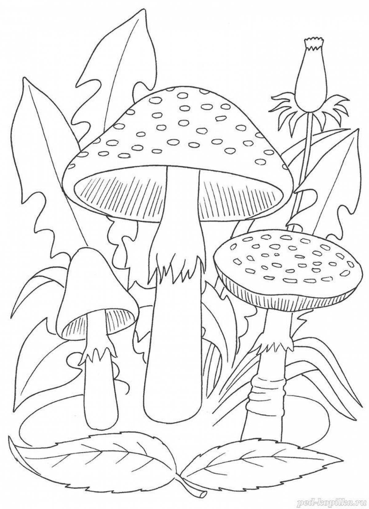 Coloring book dazzling mushrooms for children 6-7 years old