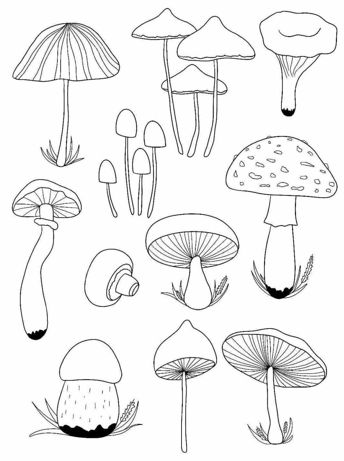 Элегантные грибы-раскраски для детей 6-7 лет