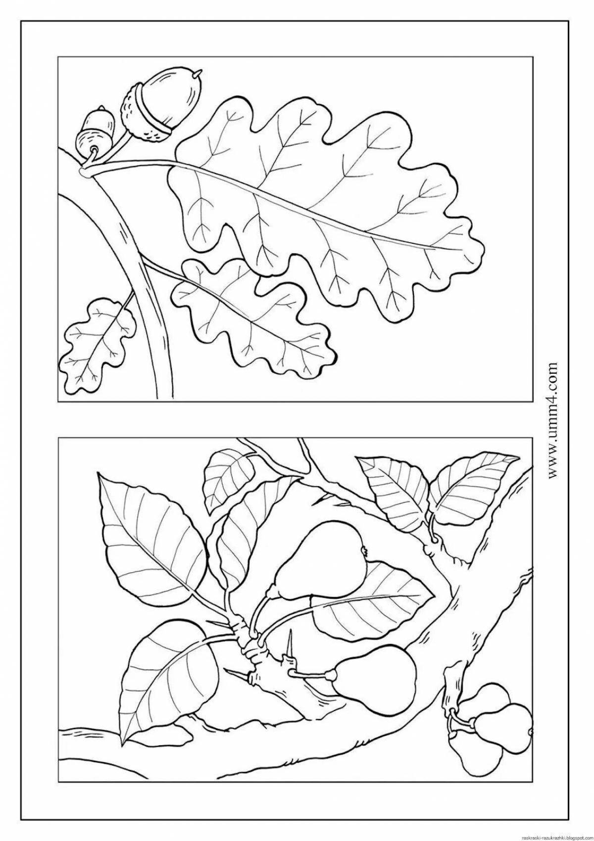 Glitter coloring page two on one sheet for garden