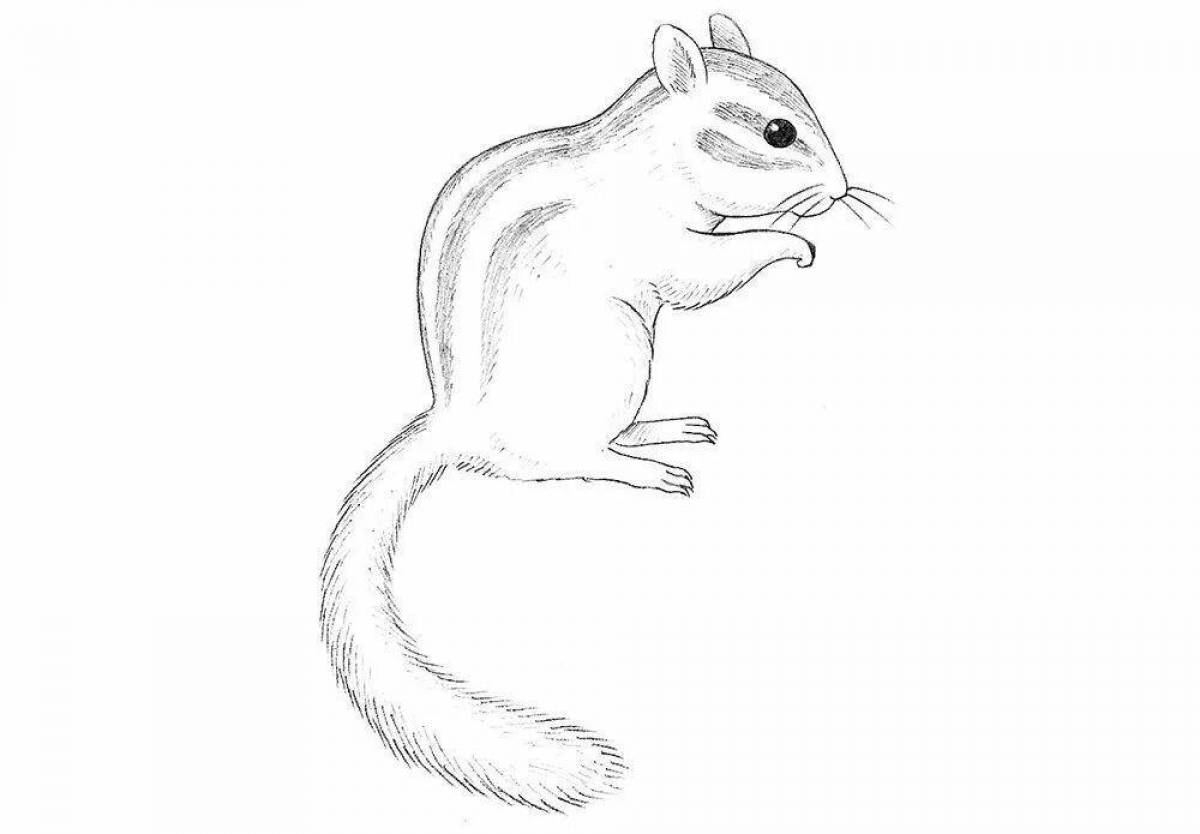 Fun coloring dormouse