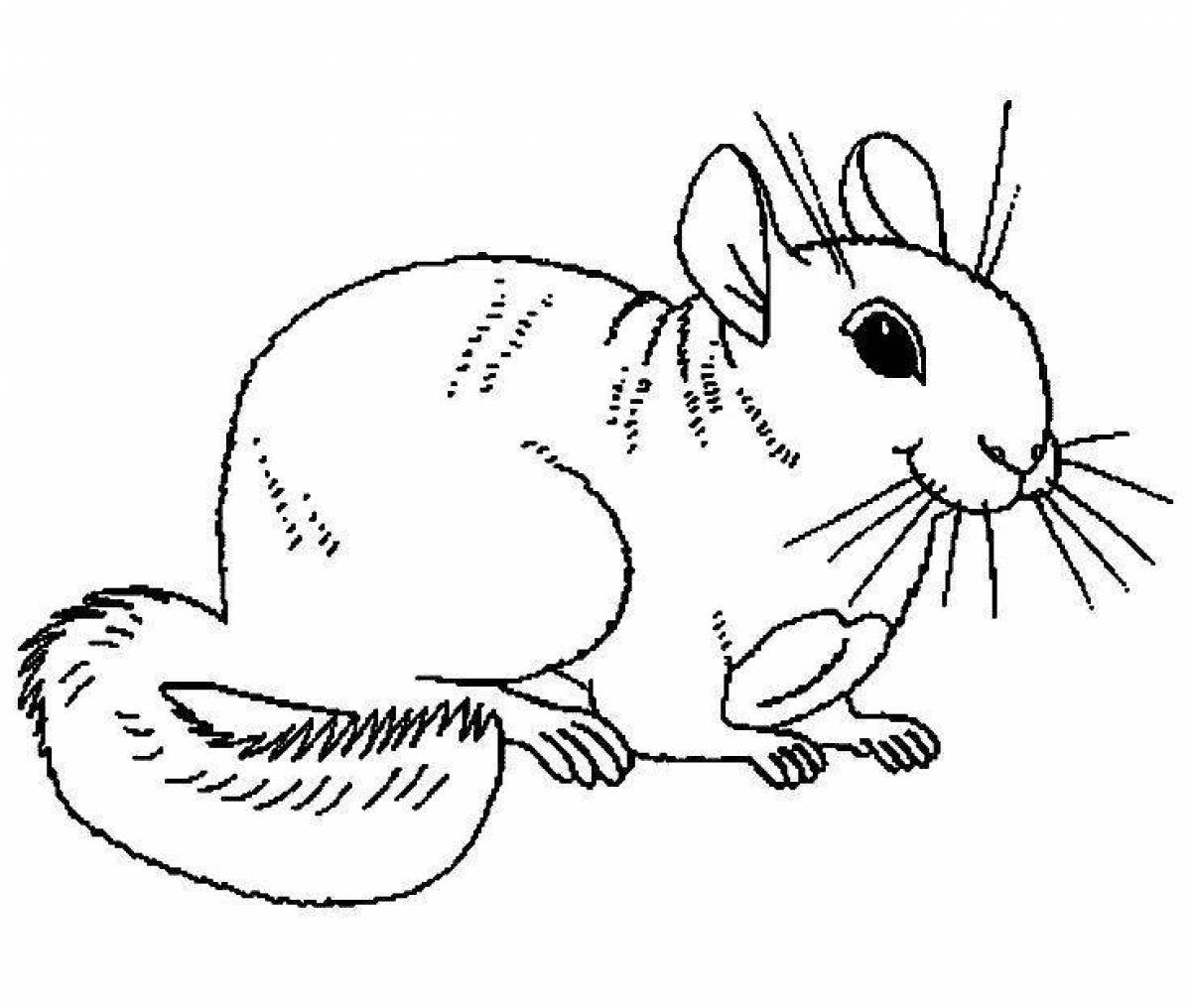 Blessed Dormouse coloring page