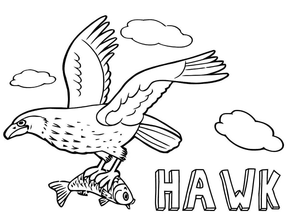 Awesome hawk coloring book