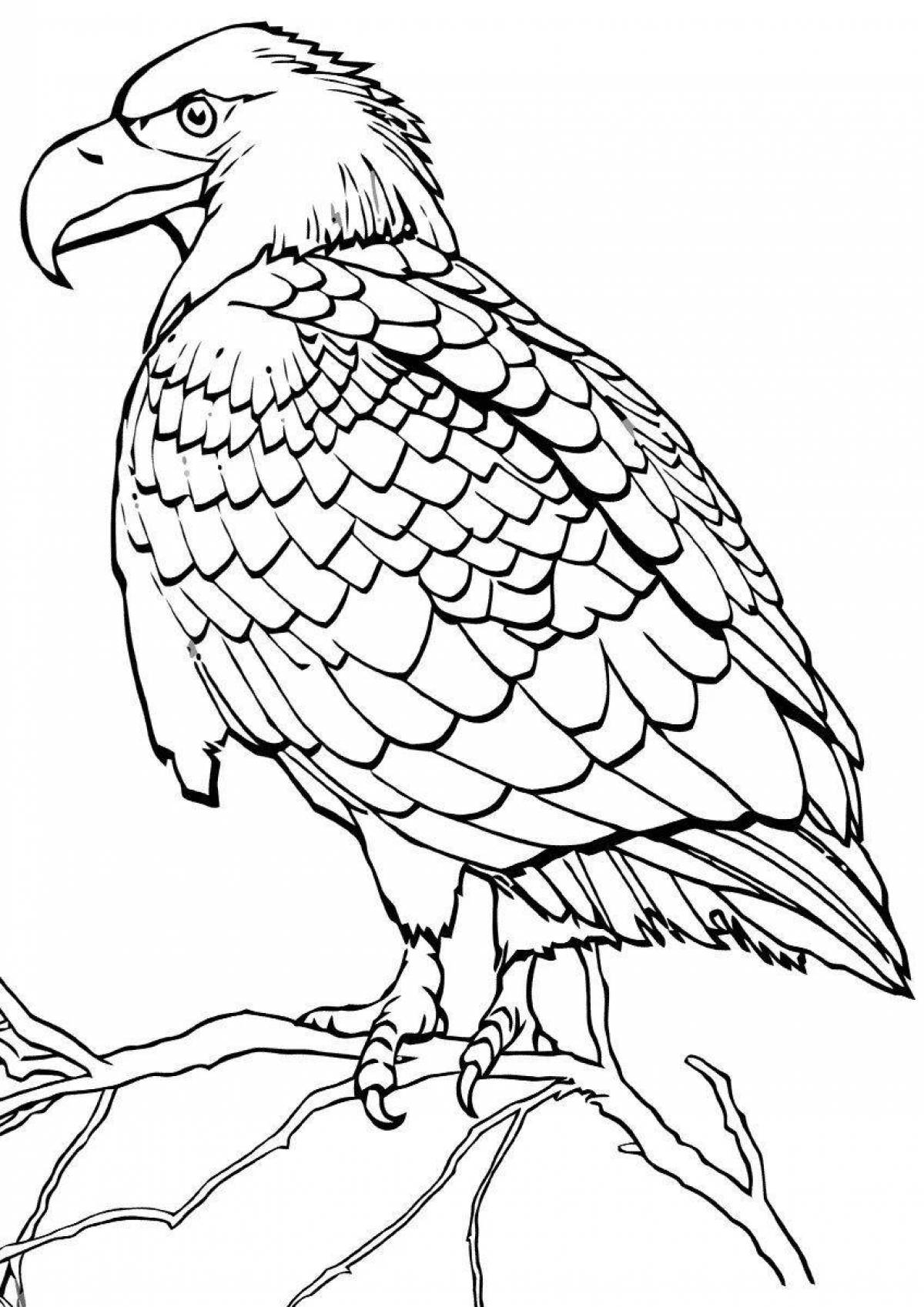 Elegant hawk coloring book
