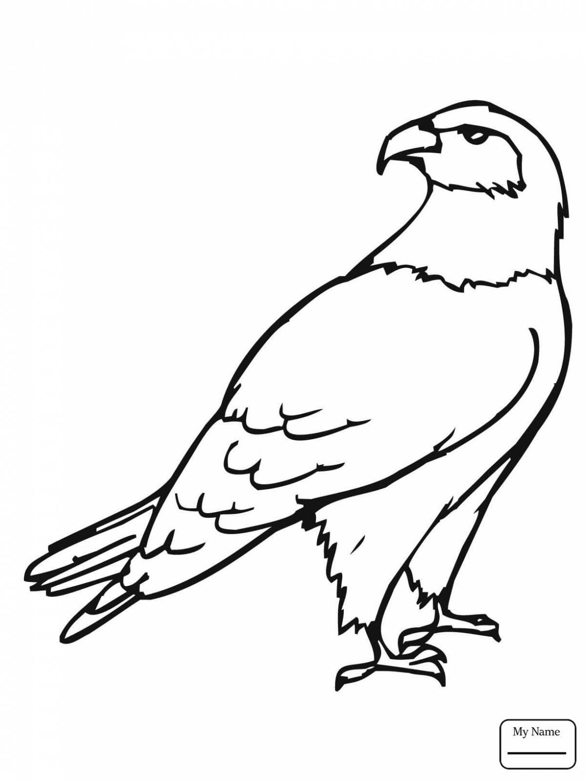 Раскраска Светящаяся раскраска ястреб