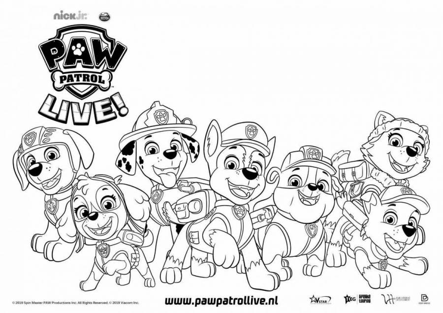 Coloring Pages Paw patrol all puppies (36 pcs) - download or print for ...