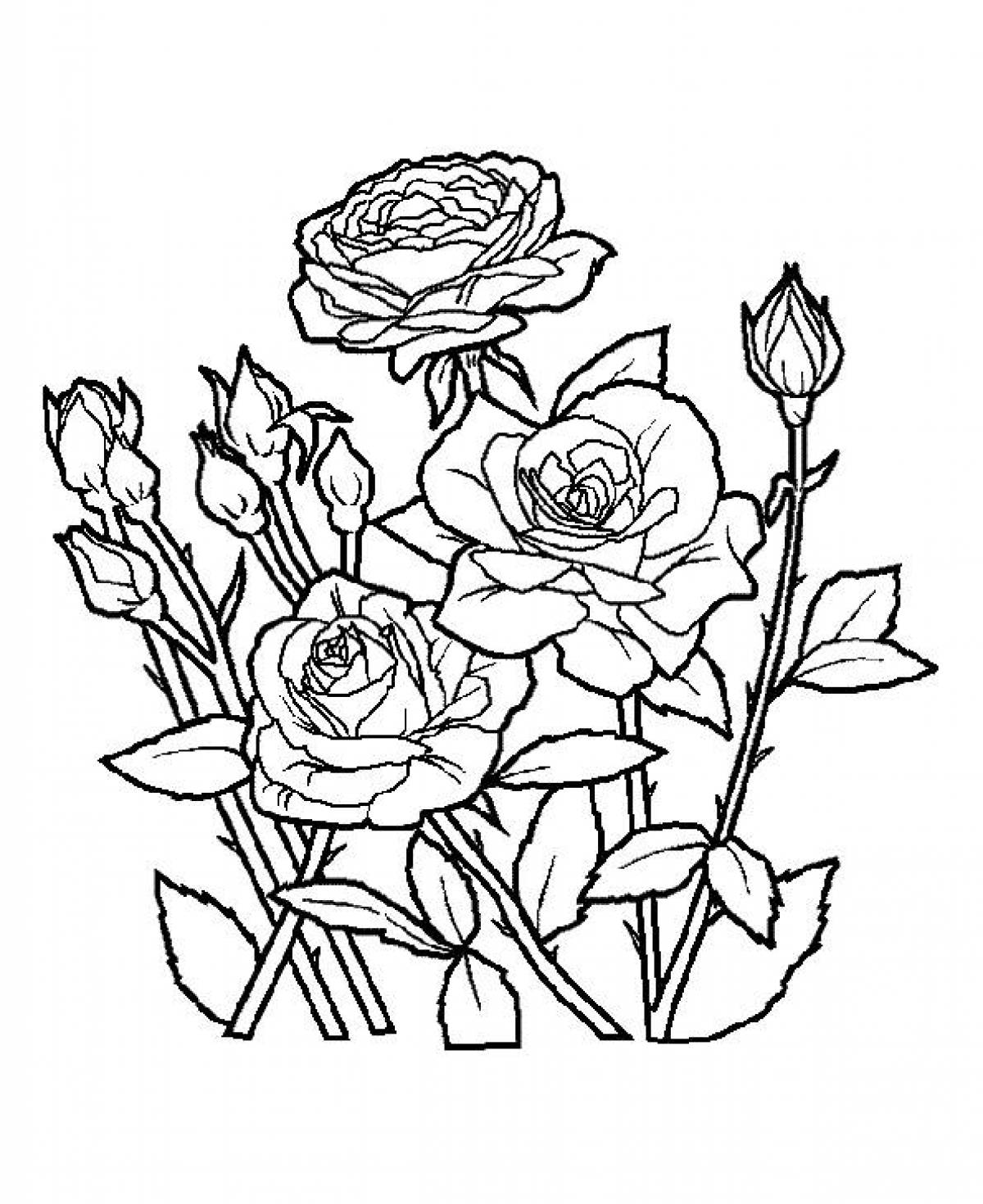 Рисунок раскраска роза для детей