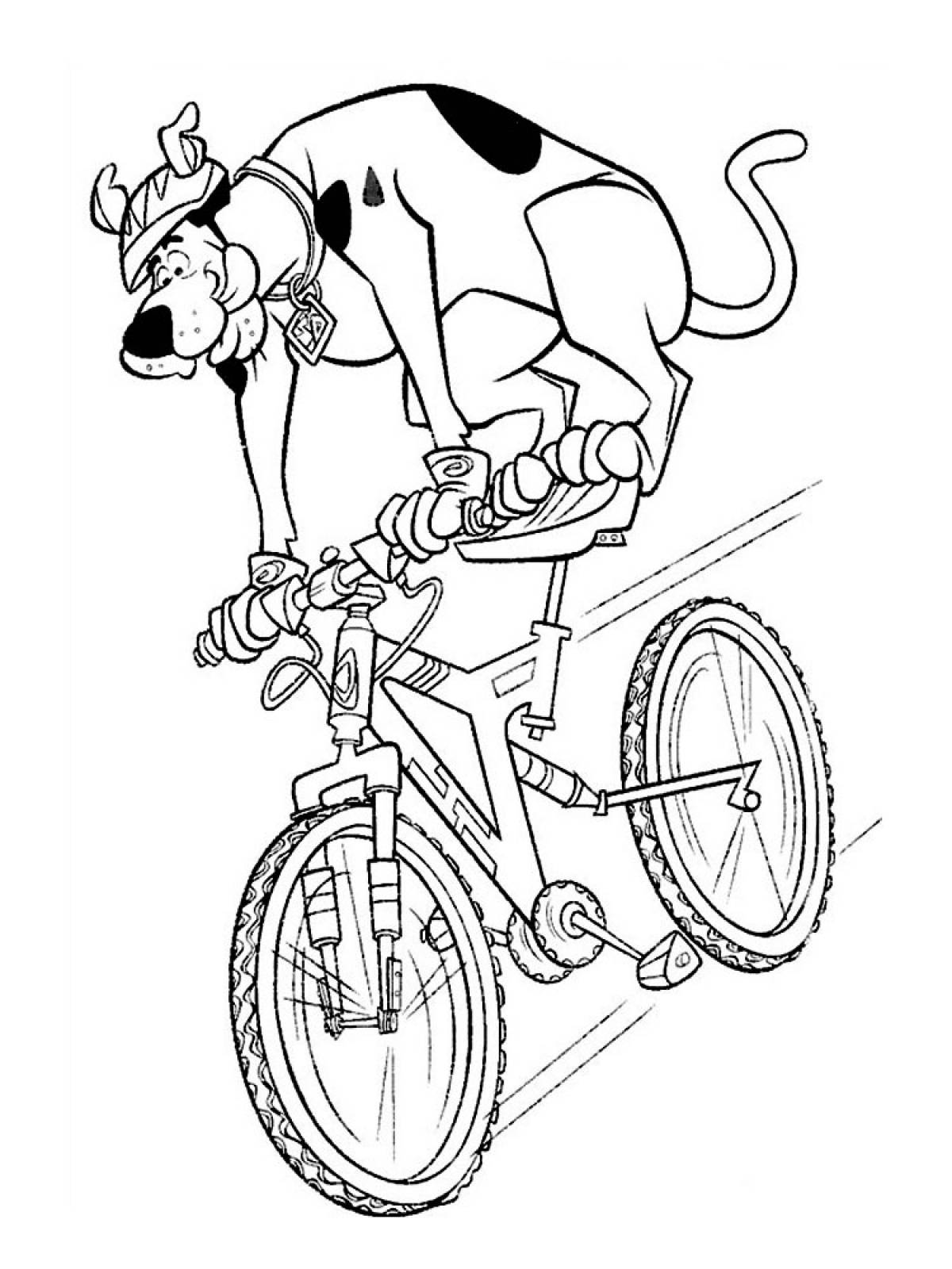 Photo Scooby doo on a bike